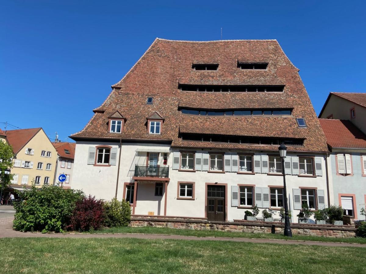 Studio Le Pied De Boeuf Wissembourg Exterior photo