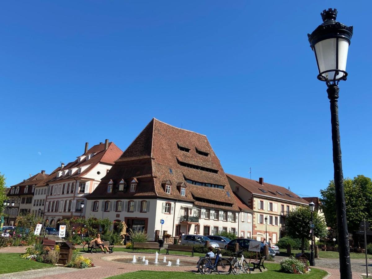 Studio Le Pied De Boeuf Wissembourg Exterior photo