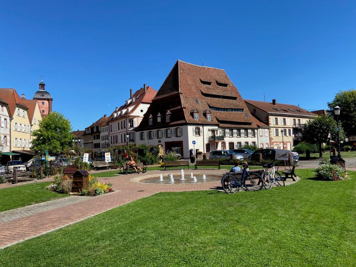 Studio Le Pied De Boeuf Wissembourg Exterior photo
